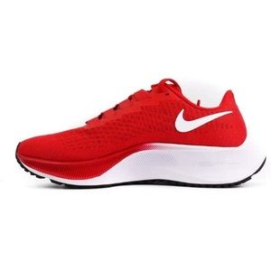 Men’s Nike Zoom Pegasus running shoes- NWT